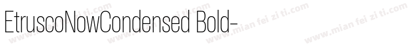 EtruscoNowCondensed Bold字体转换